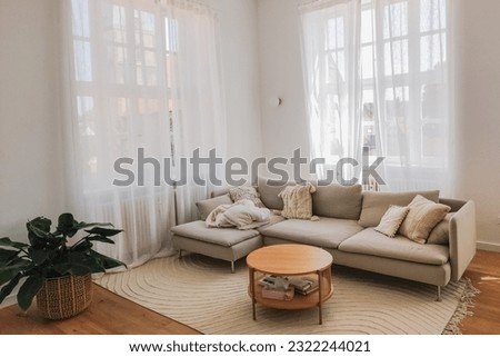 Sofa and green plant in a bright room with tall windows