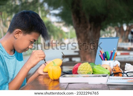 Young asian boy sitting on table in public park, spending his free time by drawing pictures, coloring fruit models and sketching alone by watching lesson medias on laptop in front of him, soft focus.