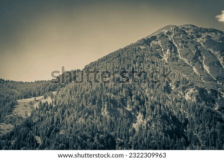 Black and white old picture of Wonderful natural wooded mountain and alpine panorama in Carinthia Austria.