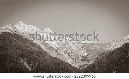 Black and white old picture of Wonderful natural wooded mountain and alpine panorama in Carinthia Austria.