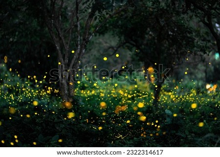Firefly flying in the forest. Firefly lights in the night like a fairy tale. Fireflies in the bush at night in Prachinburi Thailand. Light from fireflies at night in the forest, Long exposure photo.8ค Royalty-Free Stock Photo #2322314617