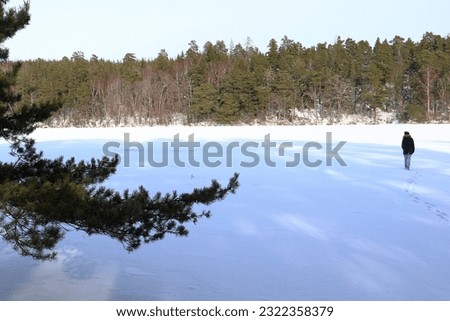 Winter landscape photo. Swedish nature with trees and snow. One frozen lake callen Mälaren. Person walking in the distance. Järfälla, Stockholm, Sweden, Scandinavia, Europe.