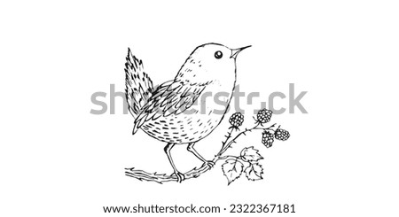 Coloring book happy birds for kids. Funny birds, flowers, leaves and berries. Flat vector illustration with cartoon bird silhouette. Cute characters. Minimalist poster design. 