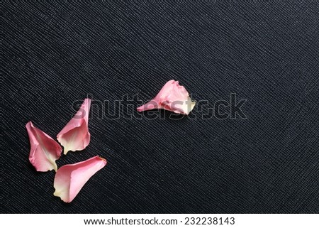 Pink rose petal leaf put on the black color leather surface as a background represent the abstract meaning about love.