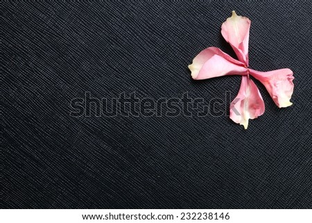 Pink rose petal leaf put on the black color leather surface as a background represent the abstract meaning about love.