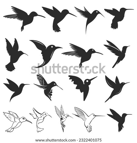 Hummingbird Vector, Black Silhouette Cut File