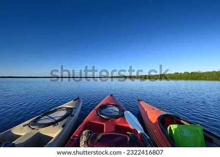 Three colorful kayaks in late afternoon light on Coot Bay in Everglades National Park, Florida. Royalty-Free Stock Photo #2322416807