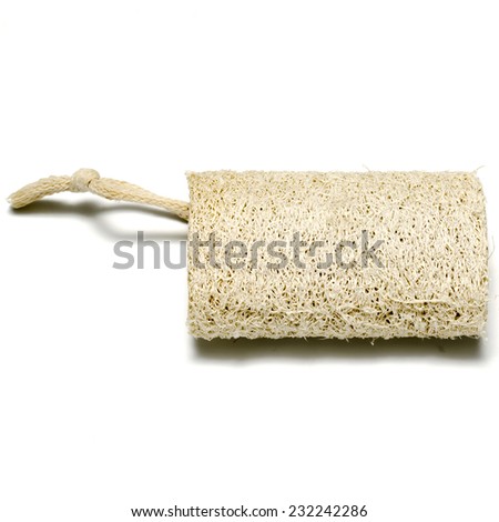 skin Loofah isolated on a white