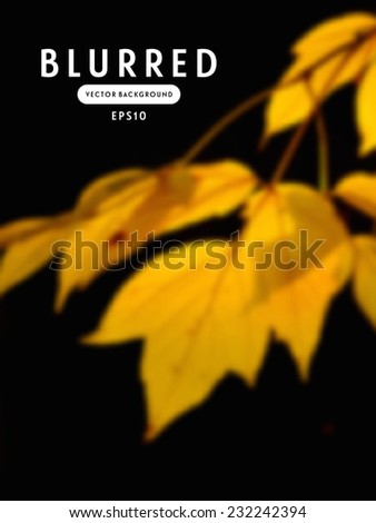 Vector blurred background with yellow autumn leaves on black