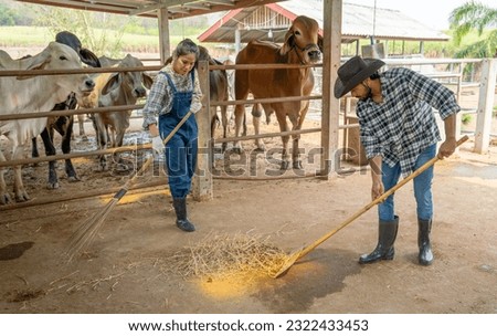 Asian man and woman farmers use bloom and tools to clean cow stable together in their farm with day light.