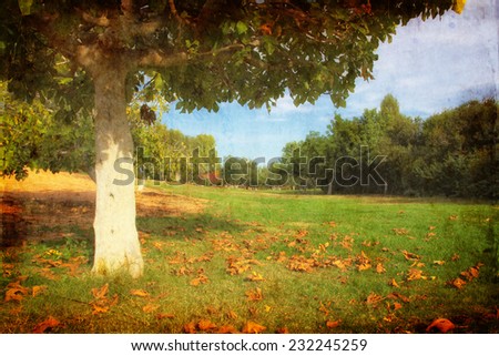 Lonely autumn tree. Romantic Landscape. textured and filtered background