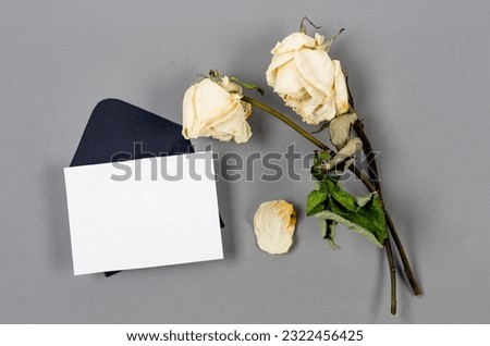 Two dried white roses with empty white blank. The concept of mourning and sorrow. Dead roses with text area.
