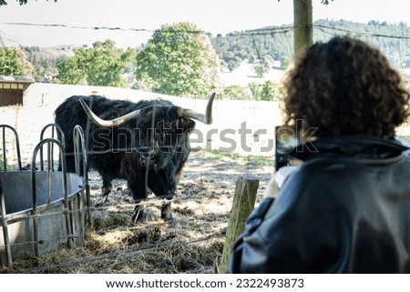 Woman taking picture of a black scottish cow