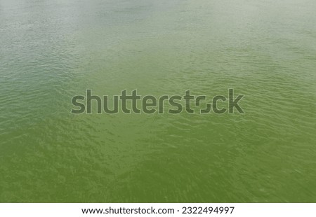 Sunlight on clear water picture