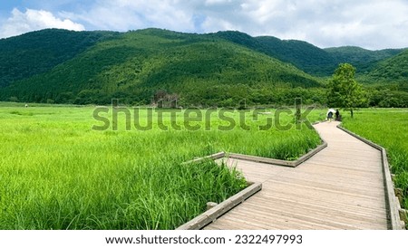 Aso Kuju National Park's Tadehara Wetland