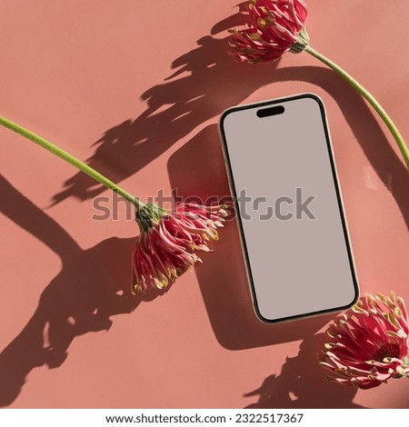 Mobile phone with blank clipping path screen, pink gerber flowers over bright salmon pink background with aesthetic sunlight shadow silhouette. Luxury social media branding template with copy space
