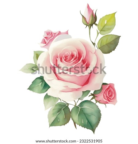 Illustration of watercolor pink old roses with green leaves clipart with transparent background