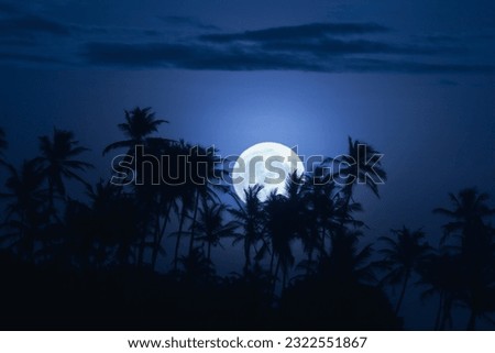 Beautiful fantasy tropical landscape of a full moon a palm trees at the tropical beach in the night sky's background.