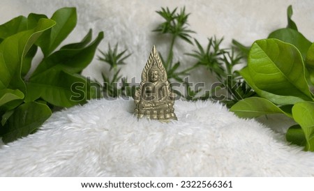 A rare amulet of Thailand.