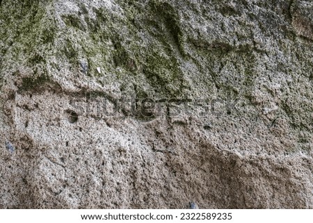 texture of gloomy heterogeneous, gray, spotty, embossed concrete on which moss sprouts. High quality photo