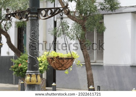 hanging plant pots made of iron