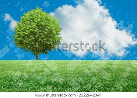 Rural–urban transformation concept with a rural scene, agricultural field and tree with and imaginary cadastral map