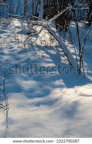 Loose snow cover in the forest in winter, vertical background