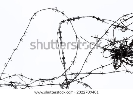 barbed wire on a cloudy sky background, blank for design, background picture, fence made of metal barbed wire