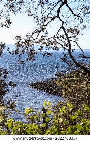Culburra Penguin Head Lookout South Coast New South Wales Australia, landscape photography
