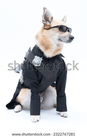 dog dressed as a policeman with sunglasses