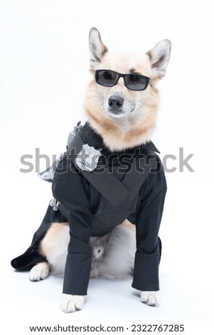 dog dressed as a policeman with sunglasses