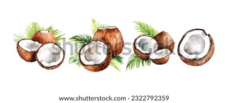 Set of coconut watercolor isolated on white background. Summer beach fruit painting vector illustration Royalty-Free Stock Photo #2322792359