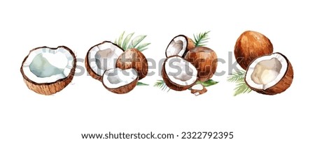 Set of coconut watercolor isolated on white background. Summer beach fruit painting vector illustration