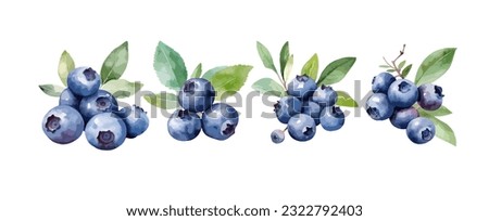 Set of blueberry watercolor isolated on white background. Healthy fruit painting vector illustration