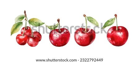 Red cherry fruit watercolor isolated on white background. Vector illustration Royalty-Free Stock Photo #2322792449