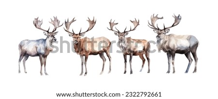 Set of moose deer animal watercolor isolated on white background. Vector illustration Royalty-Free Stock Photo #2322792661
