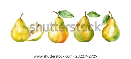 Set of pear fruit watercolor isolated on white background. Vector illustration Royalty-Free Stock Photo #2322792729
