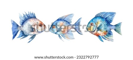 Set of colorful sea fish watercolor isolated on white background. Vector illustration