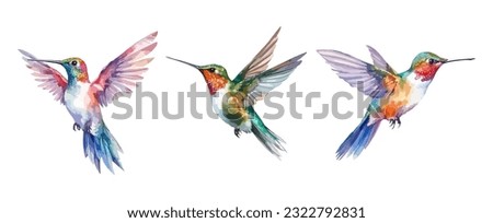 Set of hummingbird watercolor isolated on white background. Vector illustration