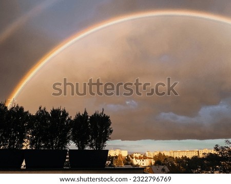Rainbow in the yellow-orange sunset sky against the background of plants in a flower pot and the city in the distance.