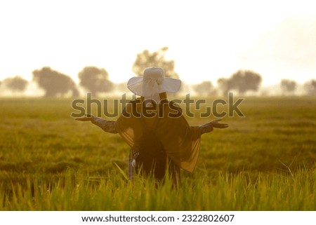 A woman standing in a misty rice field looking up at the mountain