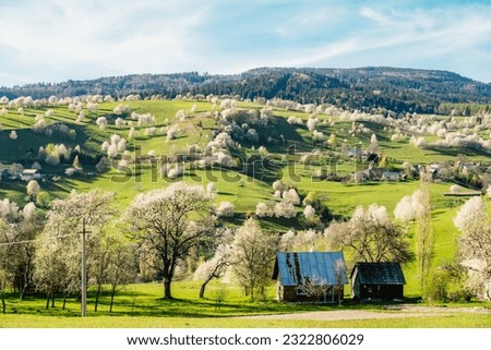 Spring Slovakia landscape. Nature fields with blooming cherries. Unique ecological land management. Polana region, Hrinova, Slovakia Europe.