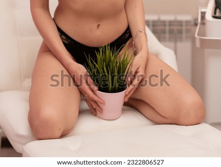 Woman in black panties holds a pot with a bushy plant. The concept of intimate hygiene, epilation and depilation, deep bikini. Bikini zone laser hair removal concept, epilation of unwanted hair