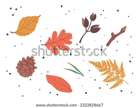 Vibrant Autumn Leaves, Pine Cone And Plant Branches In A Breathtaking Display Of Red, Orange, And Gold Paints