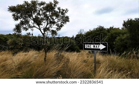 One-way sign on the Savanna 