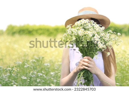 A young girl in a dress stands in a field and covers her face with a large bouquet of field daisies. The concept of health and natural cosmetics. Summer and vacation