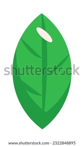 Plant leafage brochure element design. Eco friendly product symbol. Vector illustration with empty copy space for text. Editable shape for poster decoration. Creative and customizable component