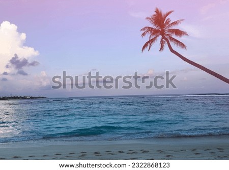Summer tropical with colorful theme as palm trees on the beach background 