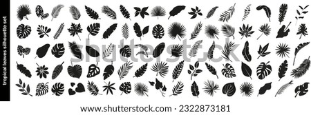 Big set of tropical black leaves. Monstera, fig, palm. Flowers and leaves of the jungle. Vector illustration
