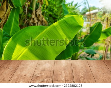 Empty wooden table in garden with plant background and bright green banana leaves. for placing products